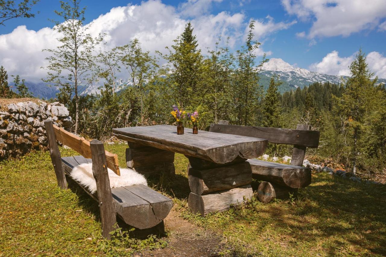 Stahovica Chalet Orlica Velika Planina מראה חיצוני תמונה